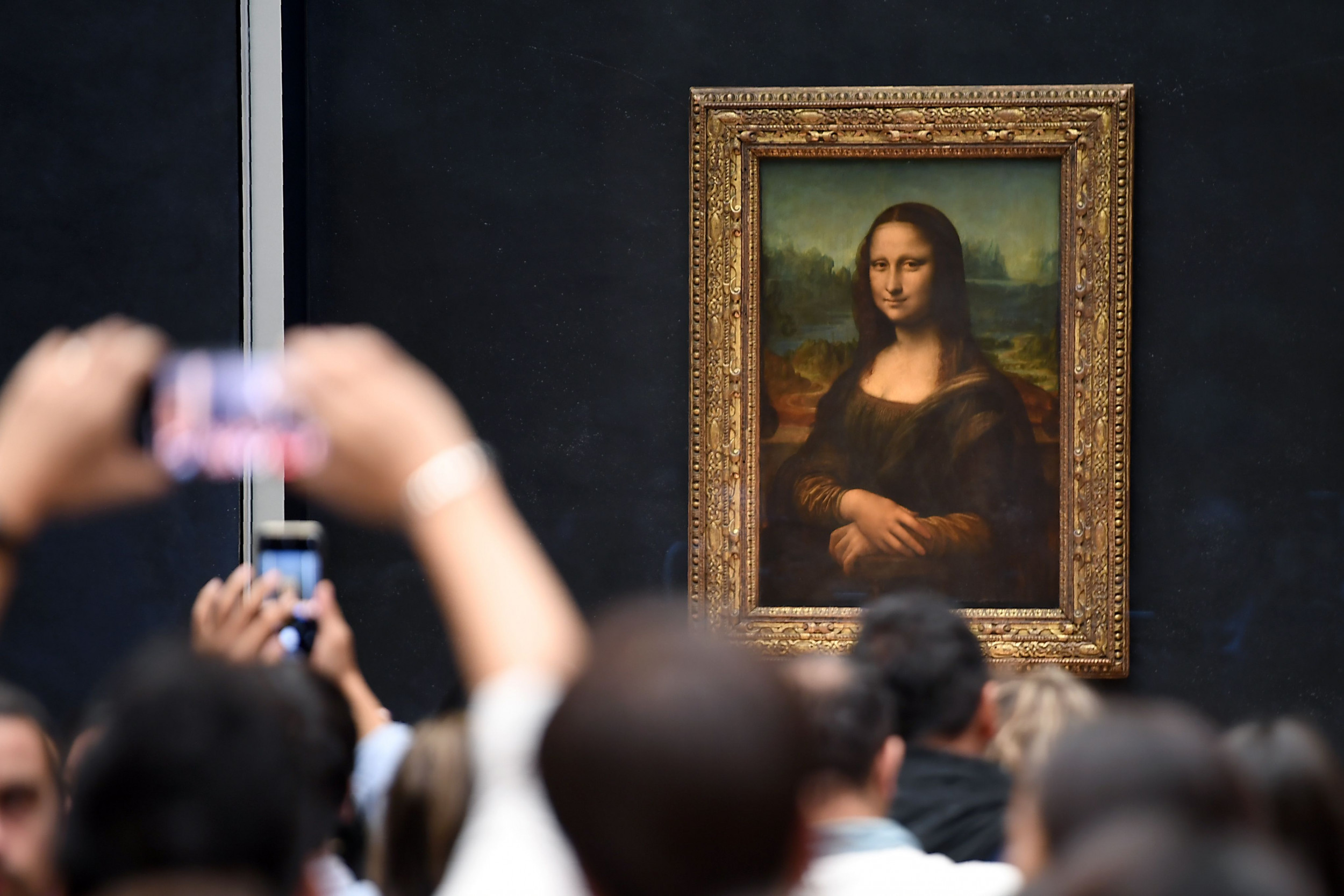 Mona Lisa Effect Not True for Mona Lisa