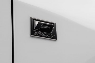 2023 Lexus RX 2023 Lexus RX