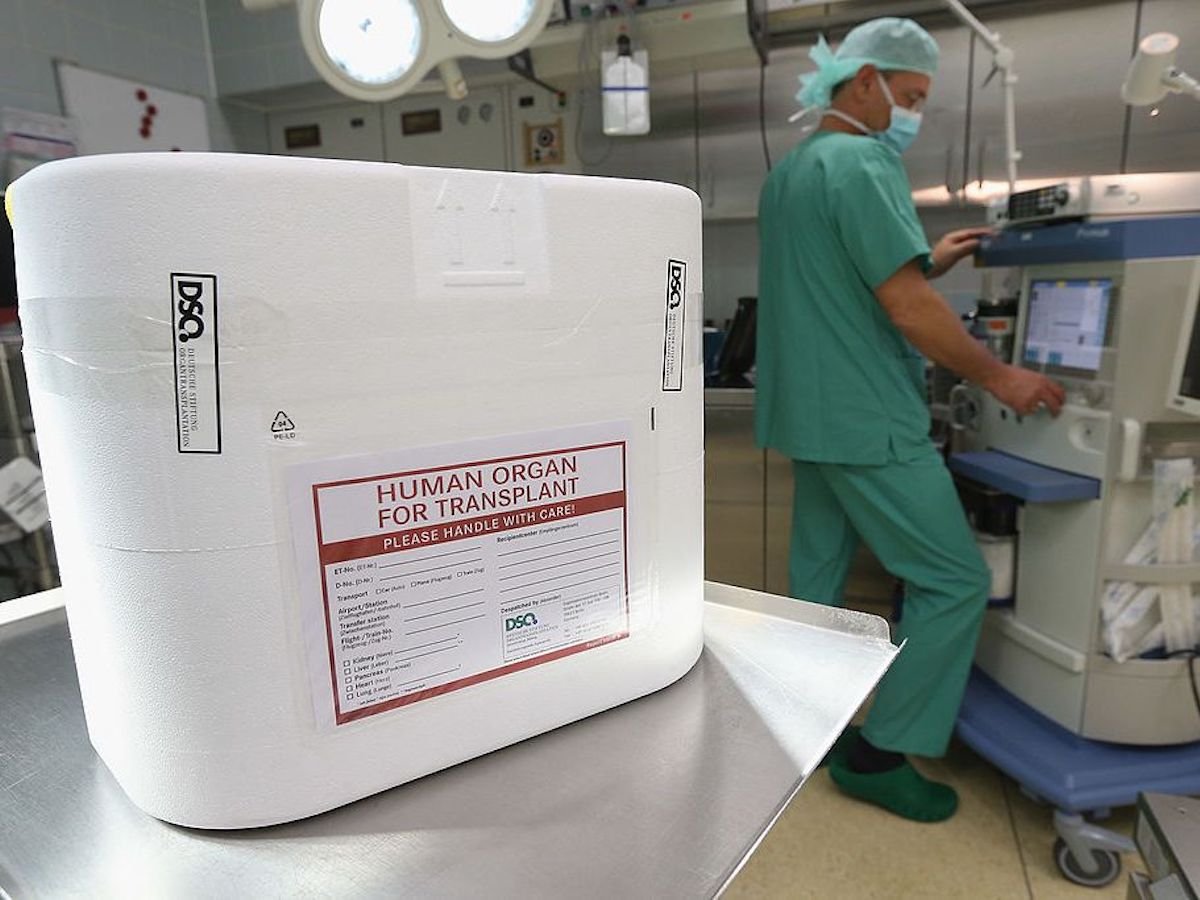 Human organ transplant box
