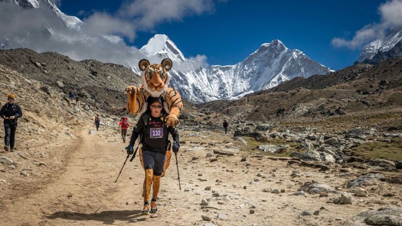 Paul Goldstein completes Everest marathon