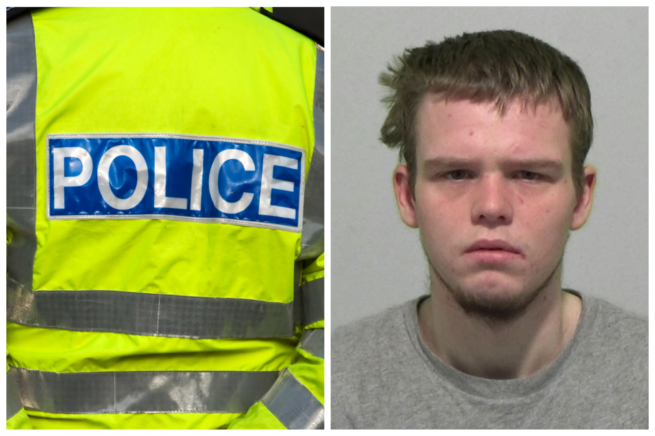 Man Who Stabbed His Dog Multiple Times And Left Her To Die On Beach 