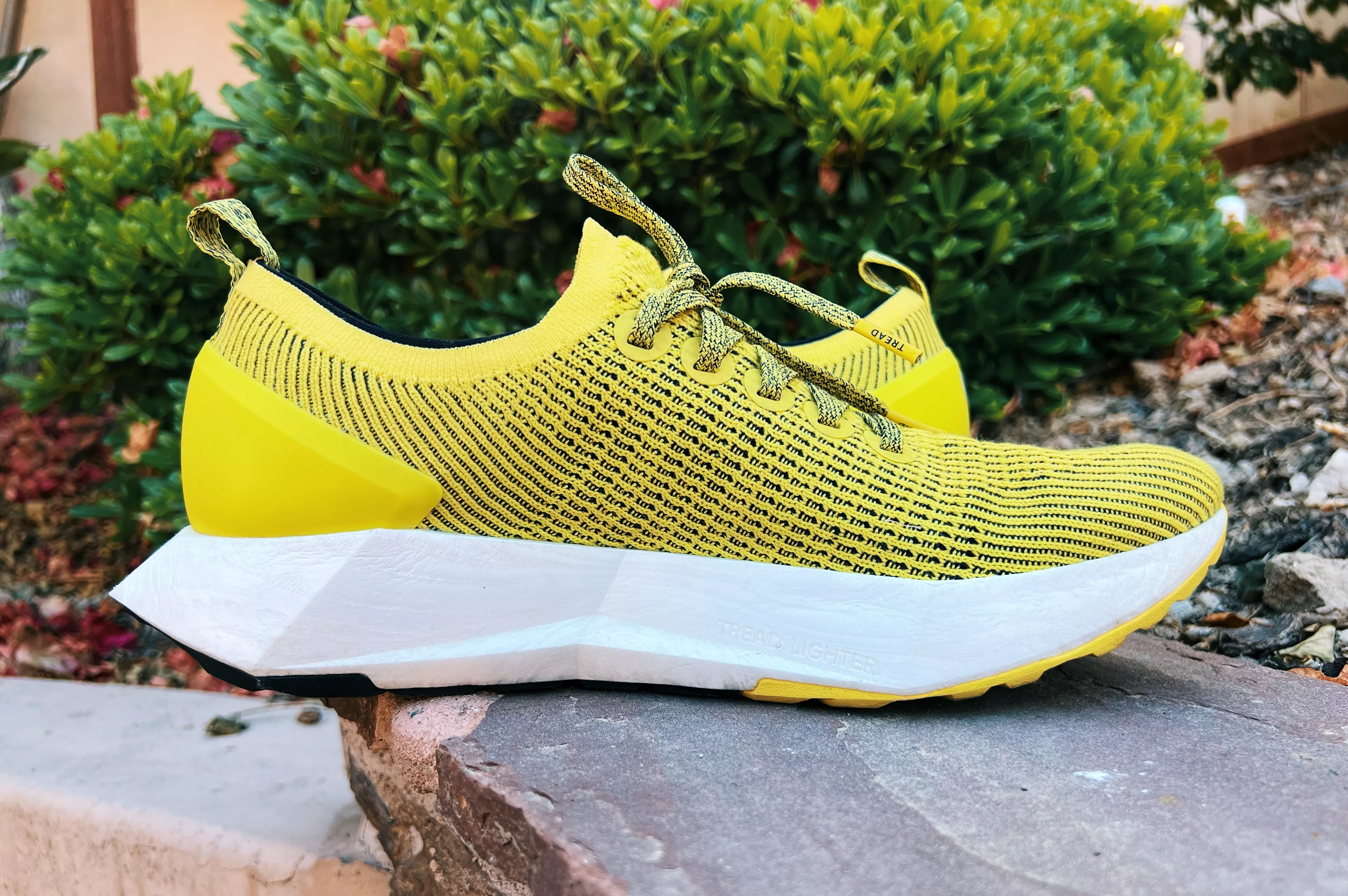 Review: Allbirds Tree Flyers Running Shoes Try to Go the Distance - Vimarsana News