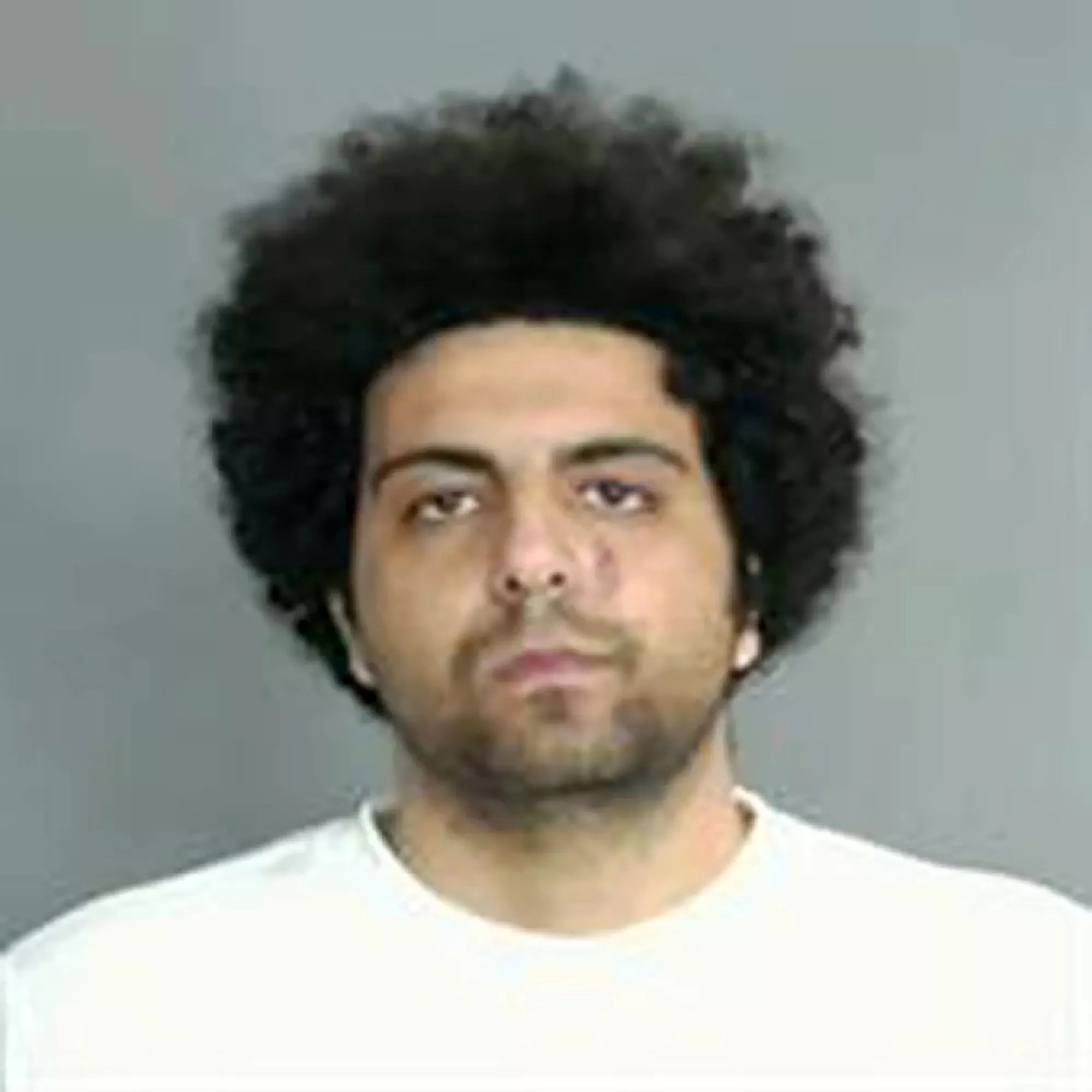 Egyptian Minister's Son Faces Death Penalty for Allegedly Killing 2 in California - Vimarsana News
