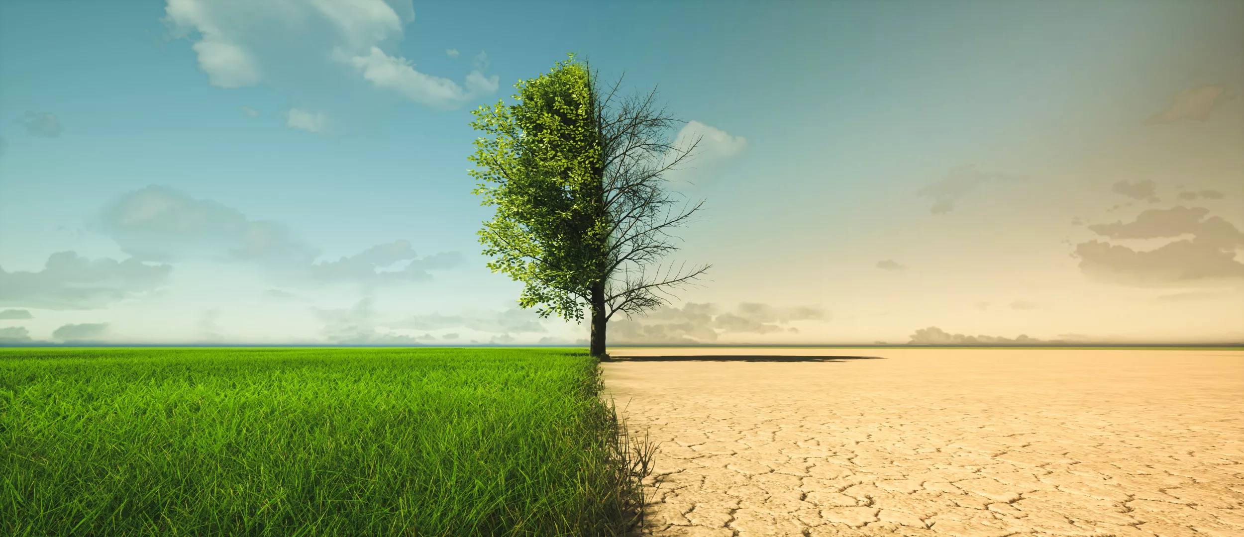 The Critical Role of Internet of Things (IoT) in Fighting Climate Change and Decarbonizing Our Planet - Vimarsana News