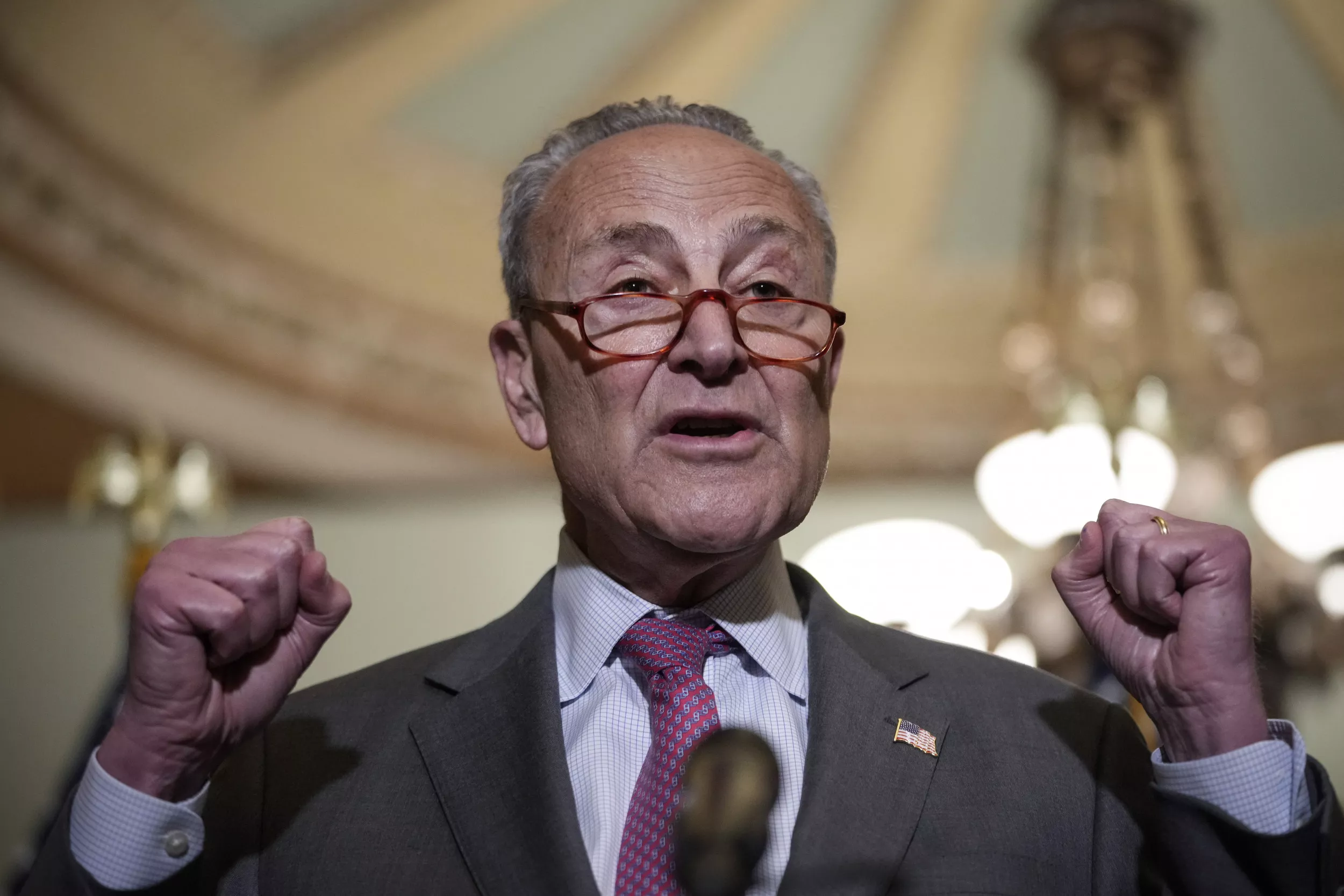 Why Is Chuck Schumer Trying To Stop Antitrust Reform? - Vimarsana News