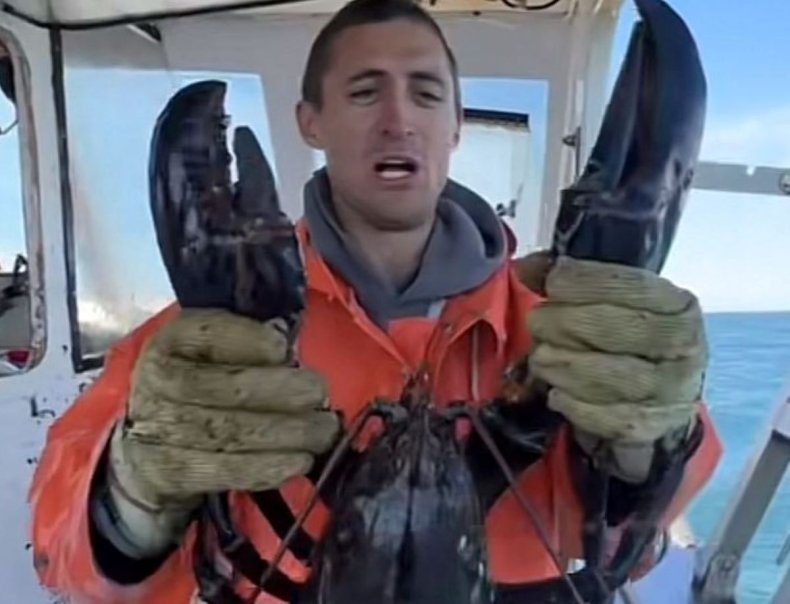 Big lobster