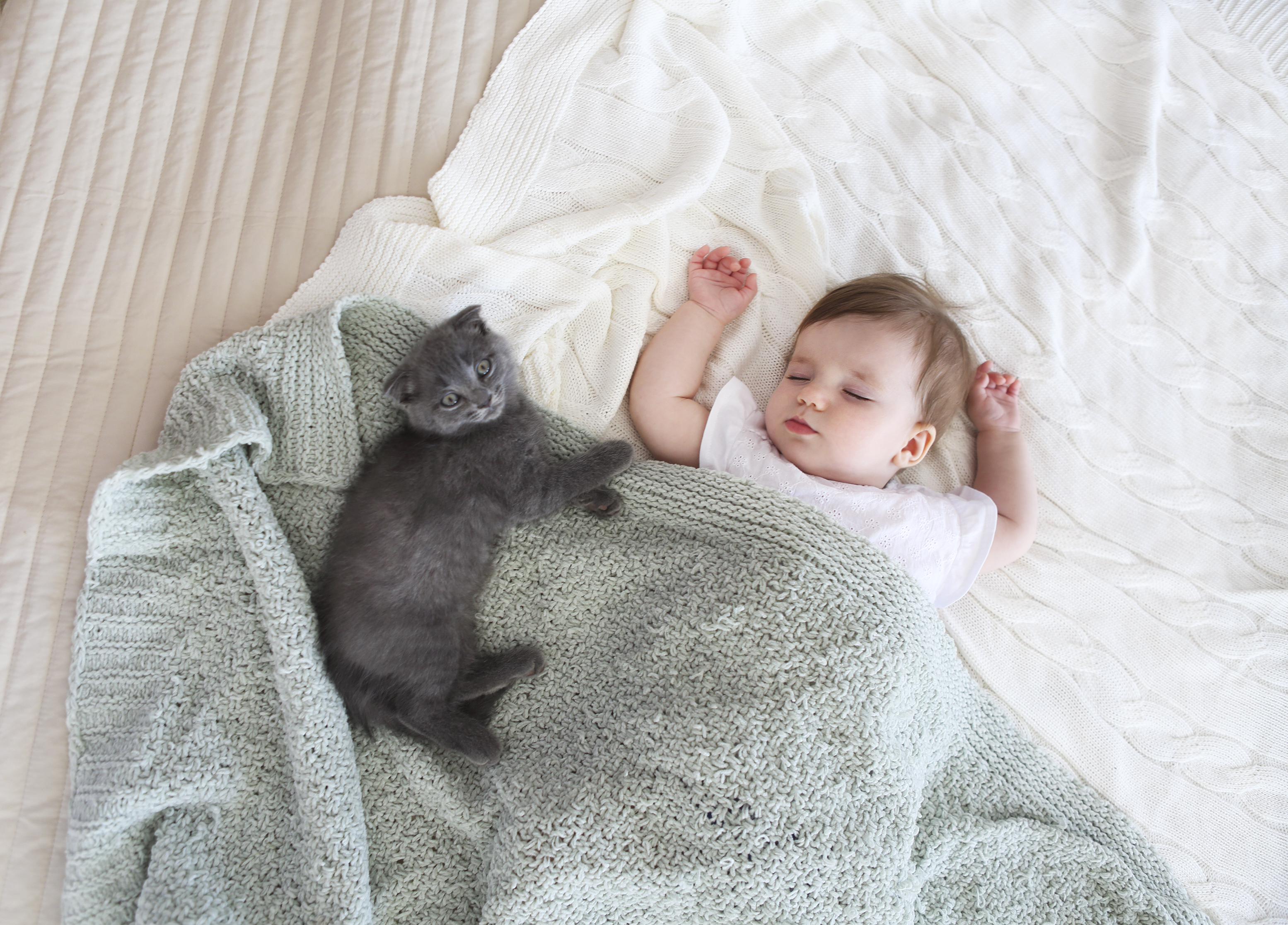 Cat Putting Agitated Baby to Sleep Stuns the Internet
