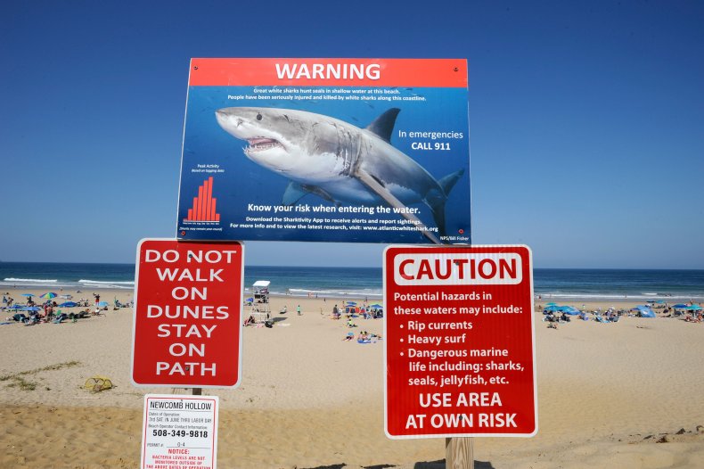 Great white shark warning