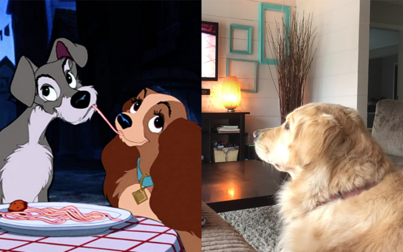 Lady and the Tramp and a dog.