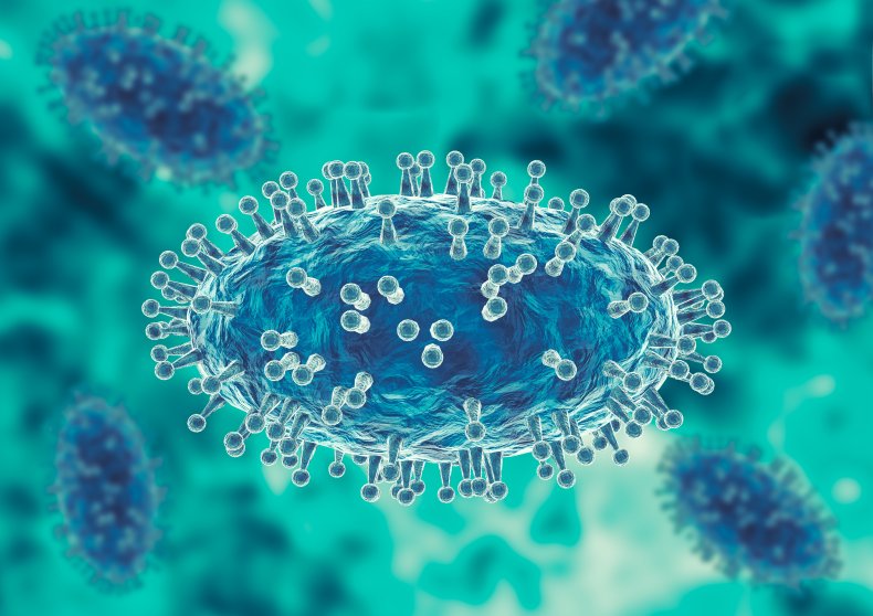 Illustration of the monkey pox virus