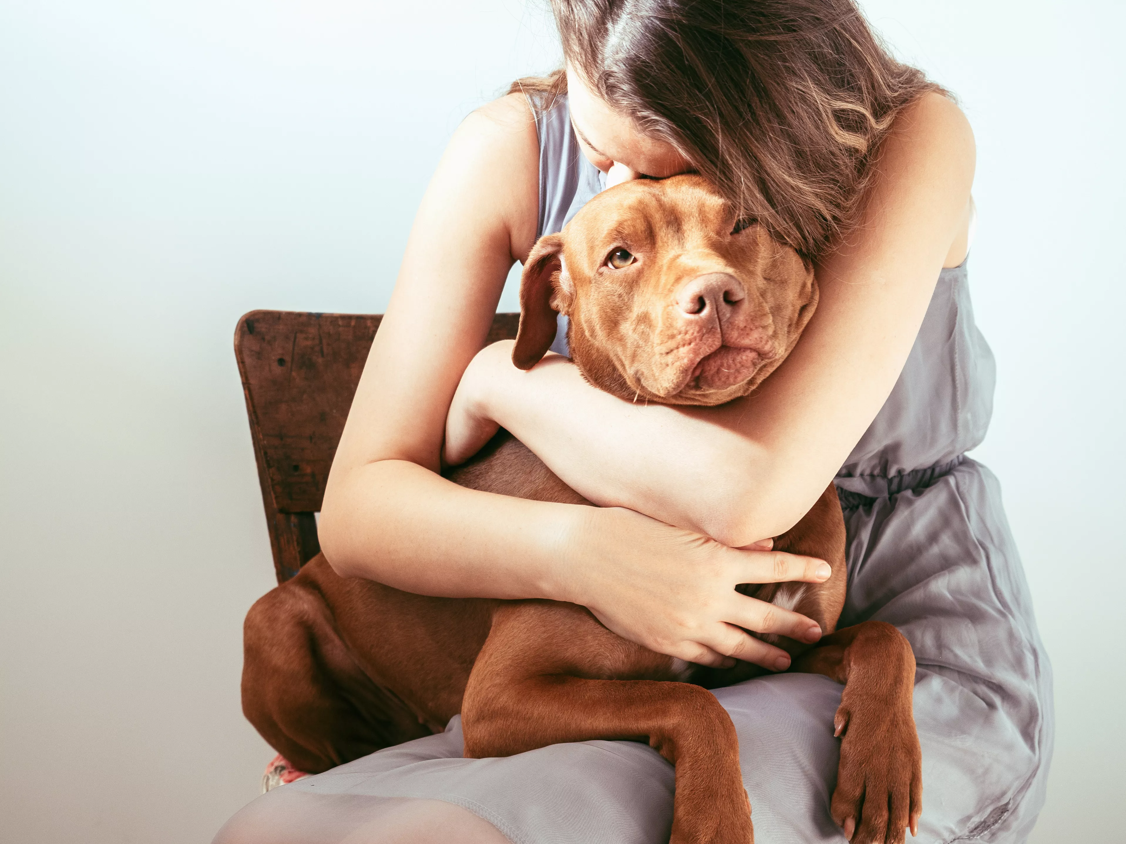 Why Is Your Dog's Mental Health Important and How To Care for It - Vimarsana News