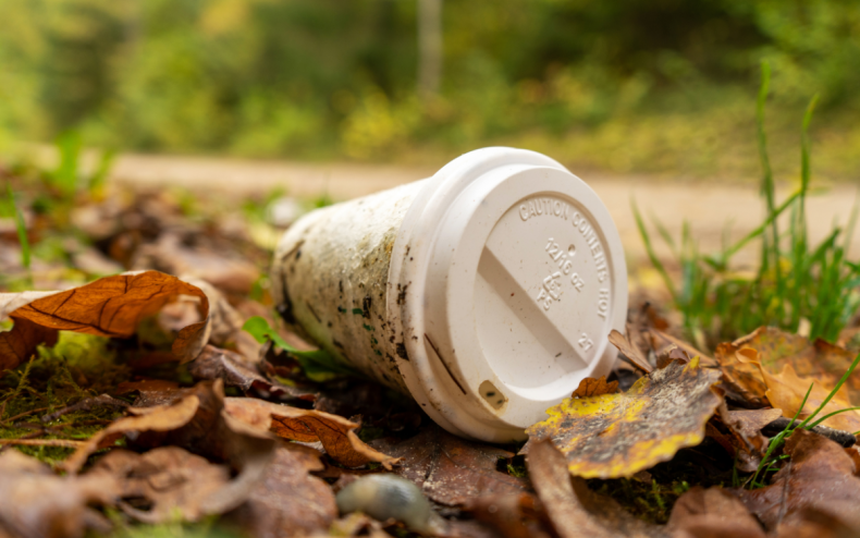 A cup abandoned on the grass.