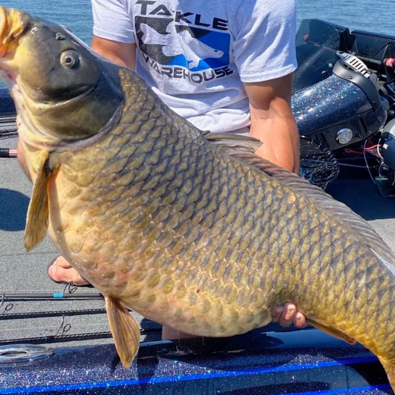 Never Seen One This Big Ever': Huge Carp Breaks 44-Year