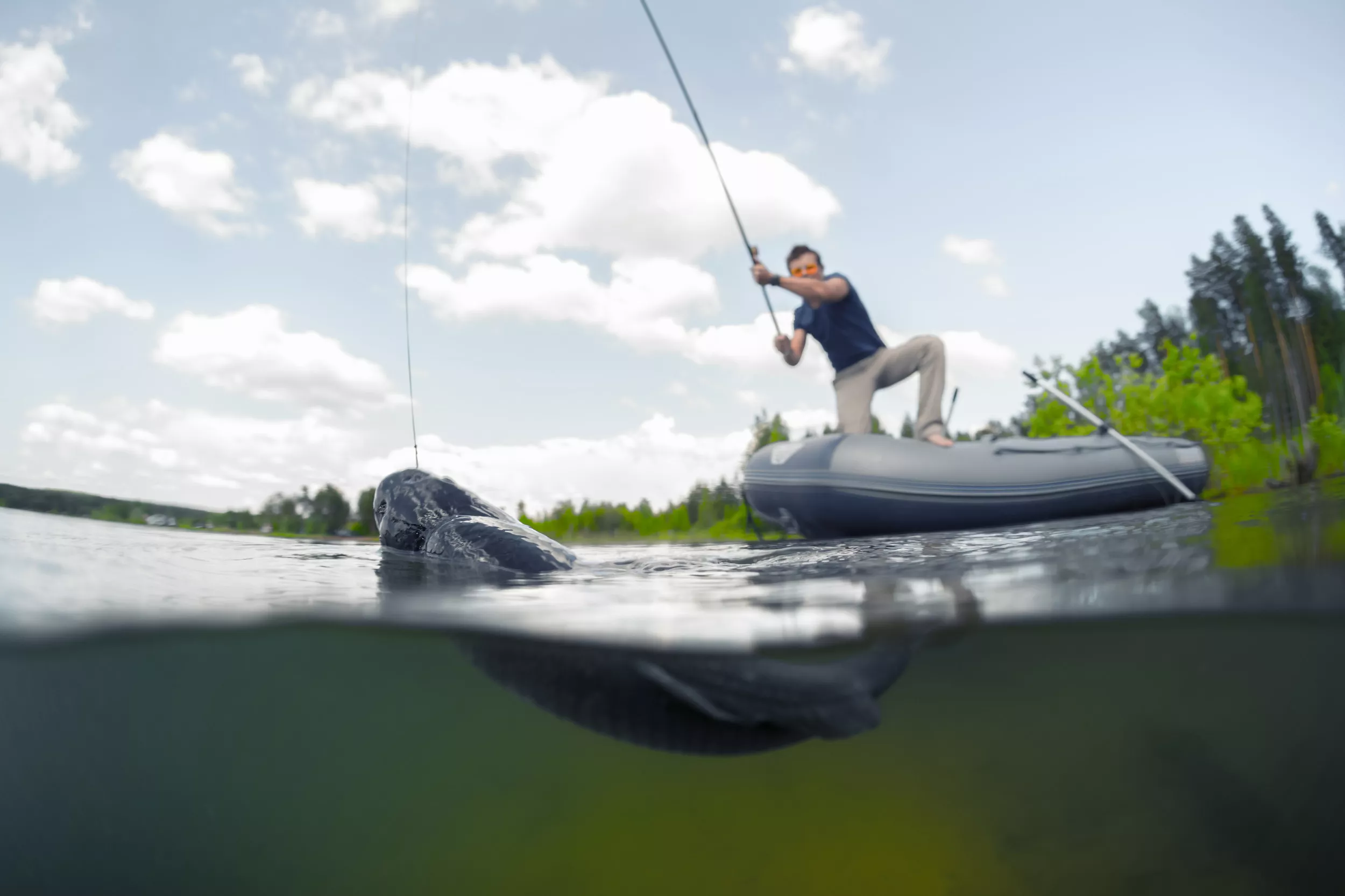 Angler's 'Fish of a Lifetime' Is Invasive Carp With Rare Genetic Condition - Vimarsana News