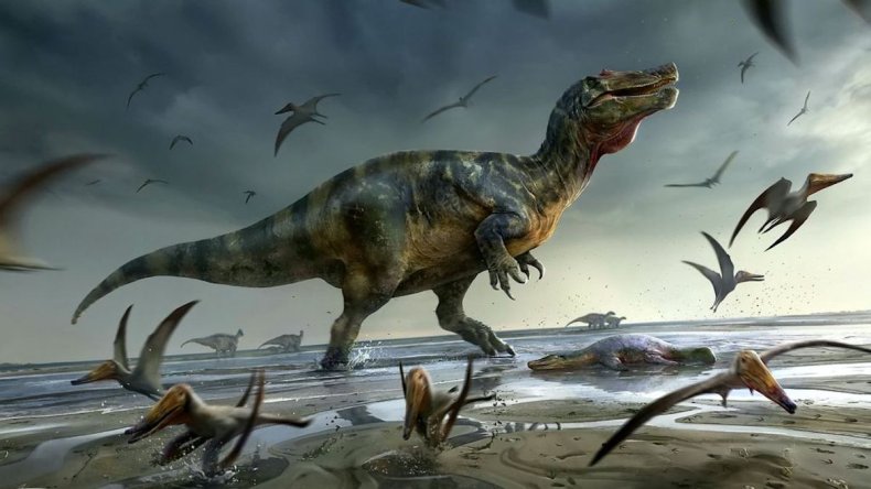 New dinosaur found on Isle of Wight