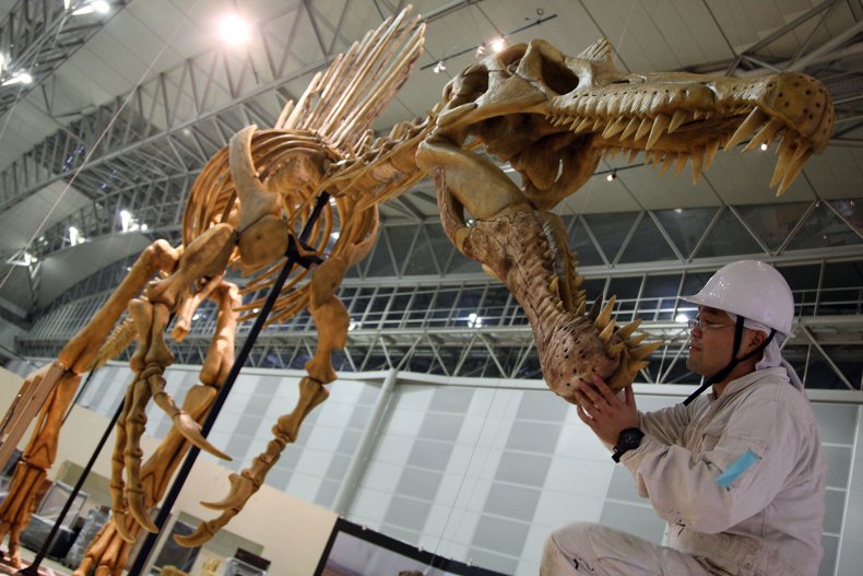 Spinosaurus model in Japan