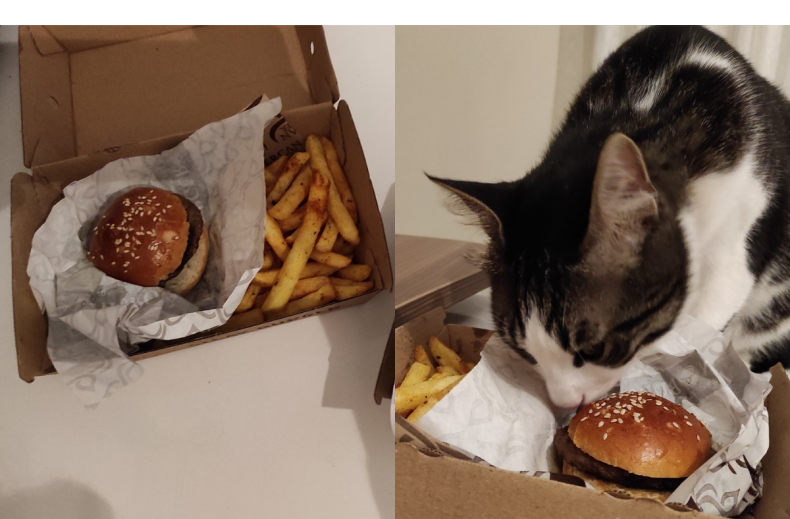 Duman le chat savoure un petit hamburger.