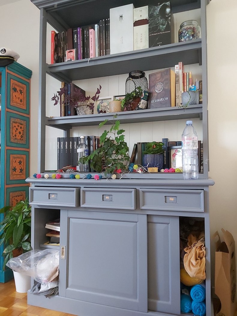 Photo of Louison’s bookcase. 