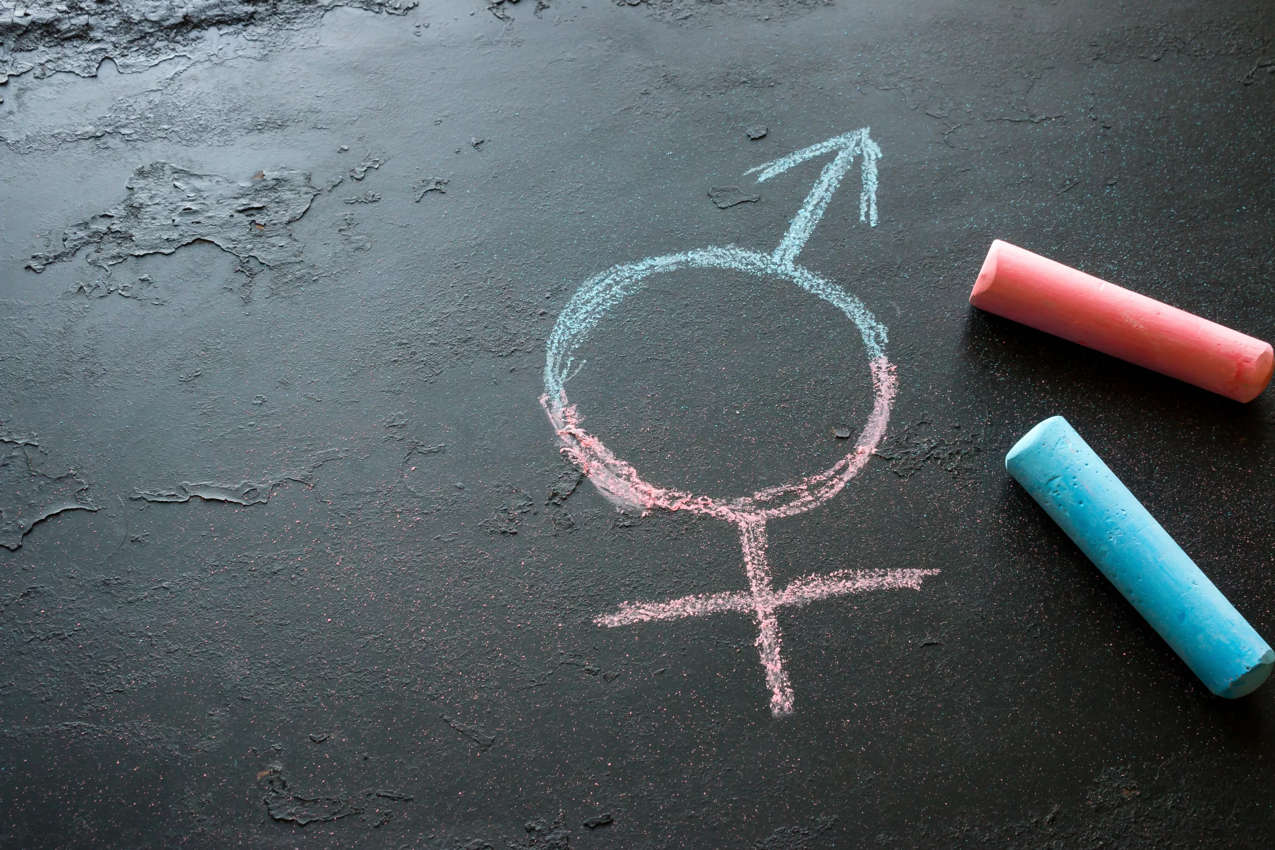 Outraged Parents' Lawsuit Alleges Gender Dysphoria Lesson Given to Kids - Vimarsana News