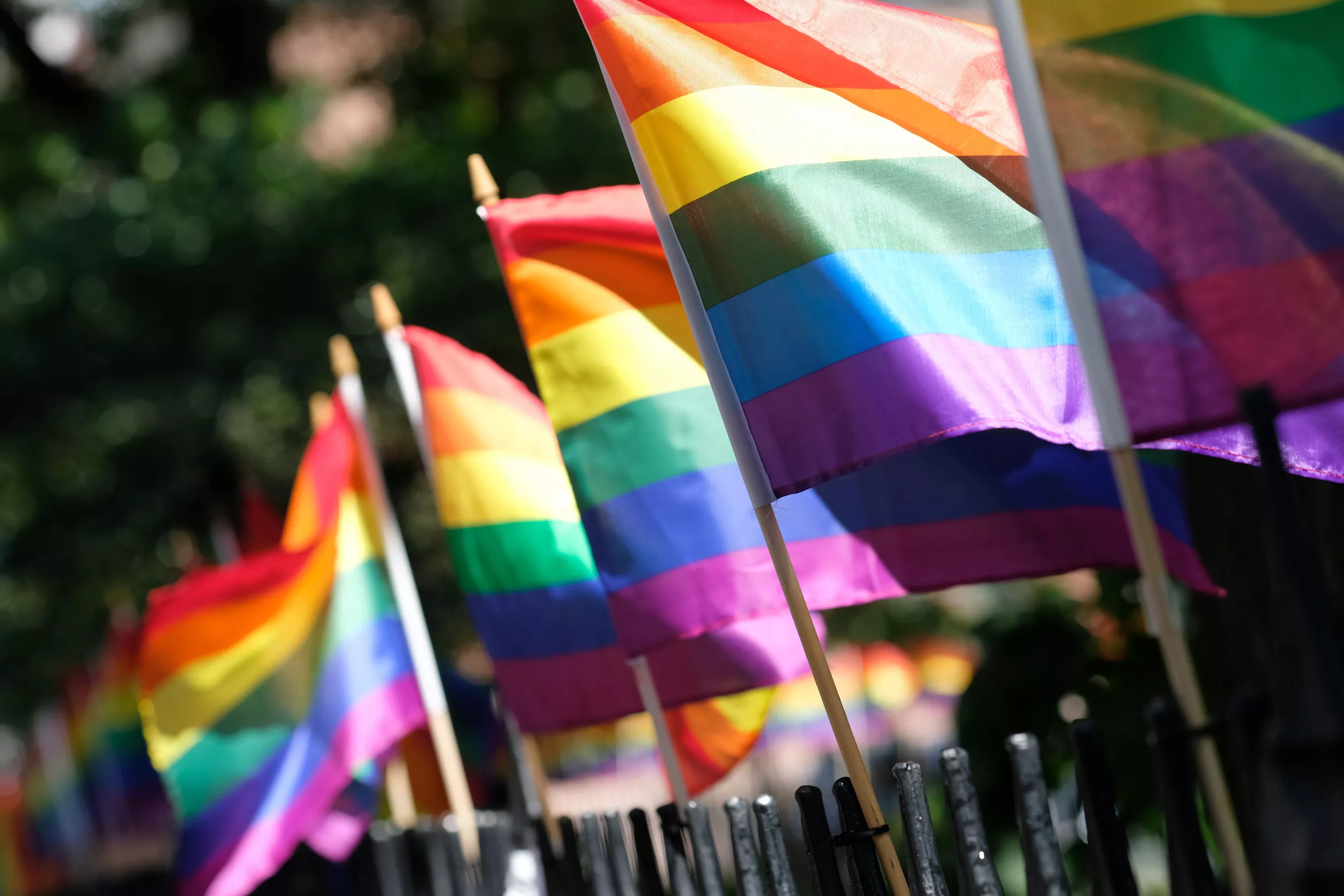 Patriot Front Leader Tom Rosseau Among 31 Arrested Near Idaho Pride Event - Vimarsana News