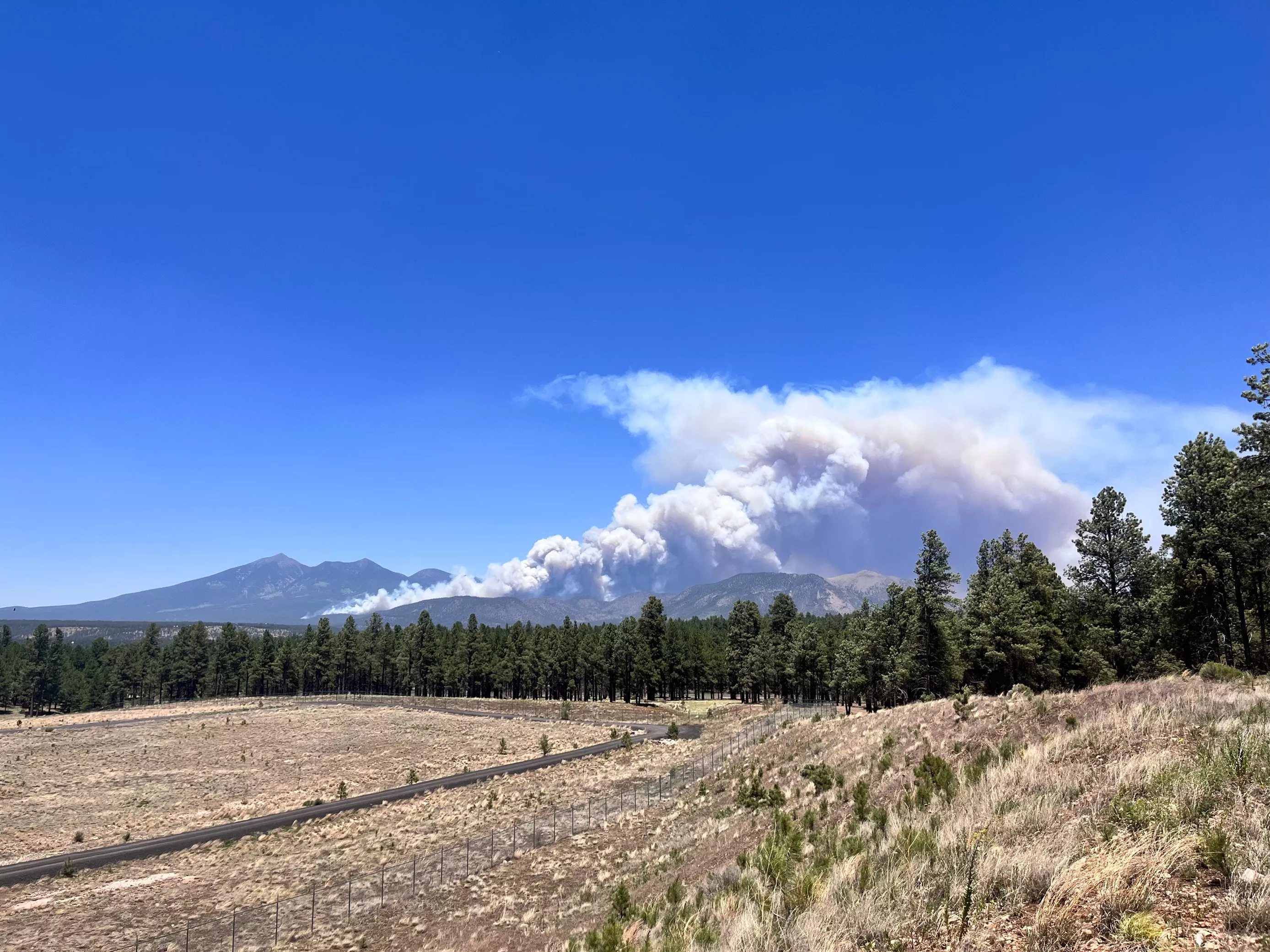 Flagstaff Pipeline Fire Map, Update as Man Arrested Over Arizona Blaze - Vimarsana News