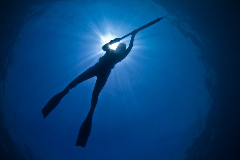 Spear fishing