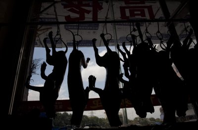 Yulin Dog Meat Festival Yulin Dog Meat Festival