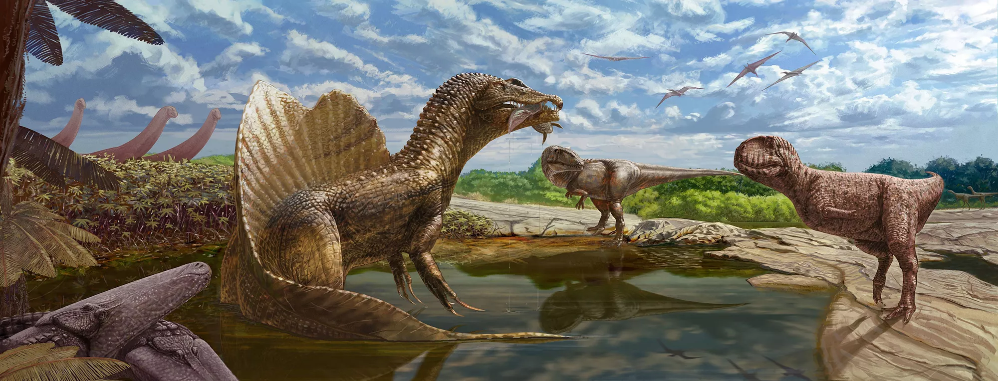 Experts Find Another Dinosaur That Lived in Sahara Desert 100 Million Years Ago - Newsweek