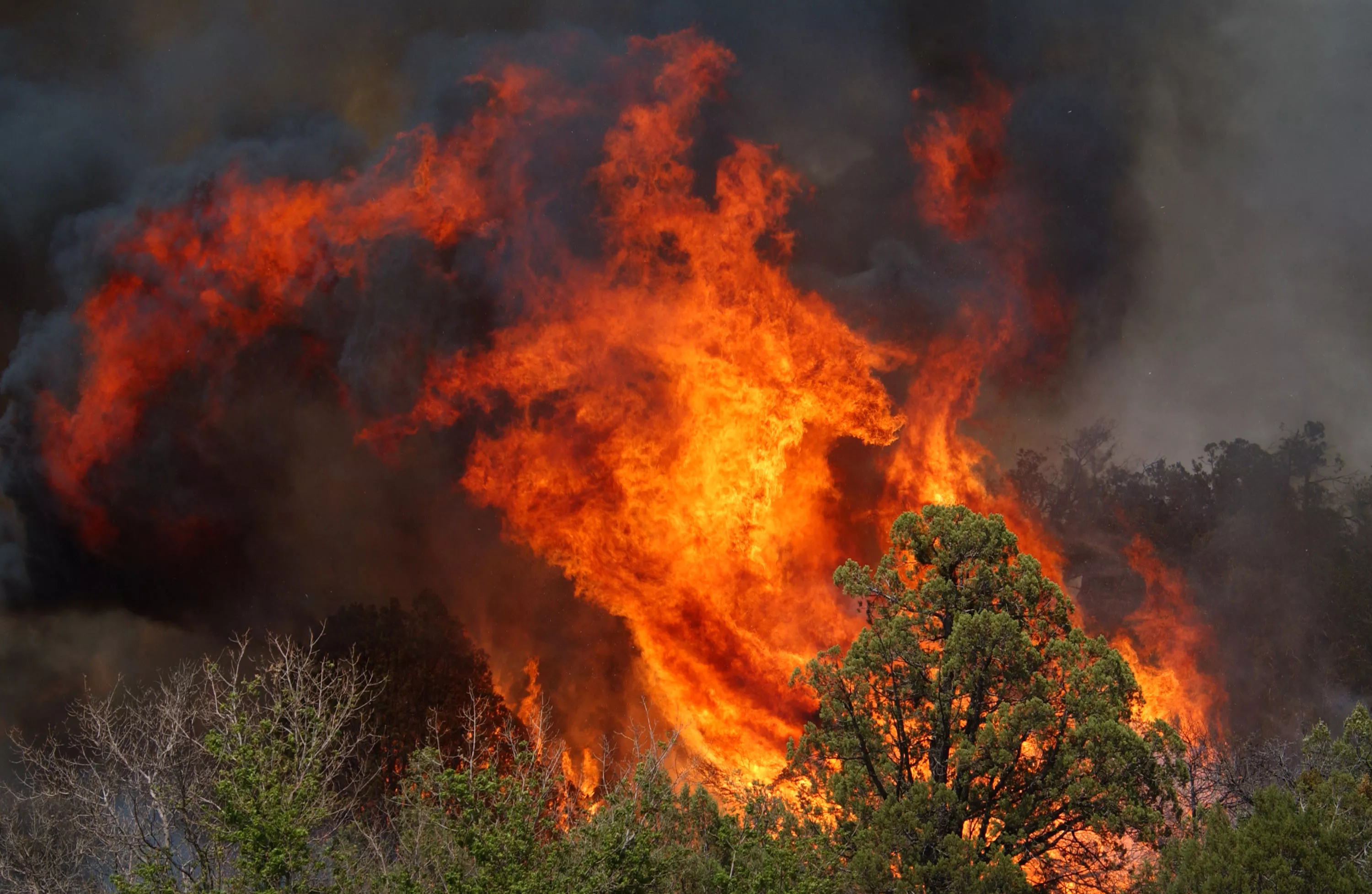 Arizona Pipeline Wildfire Ignited by Man Burning Toilet Paper, Feds Say - Vimarsana News