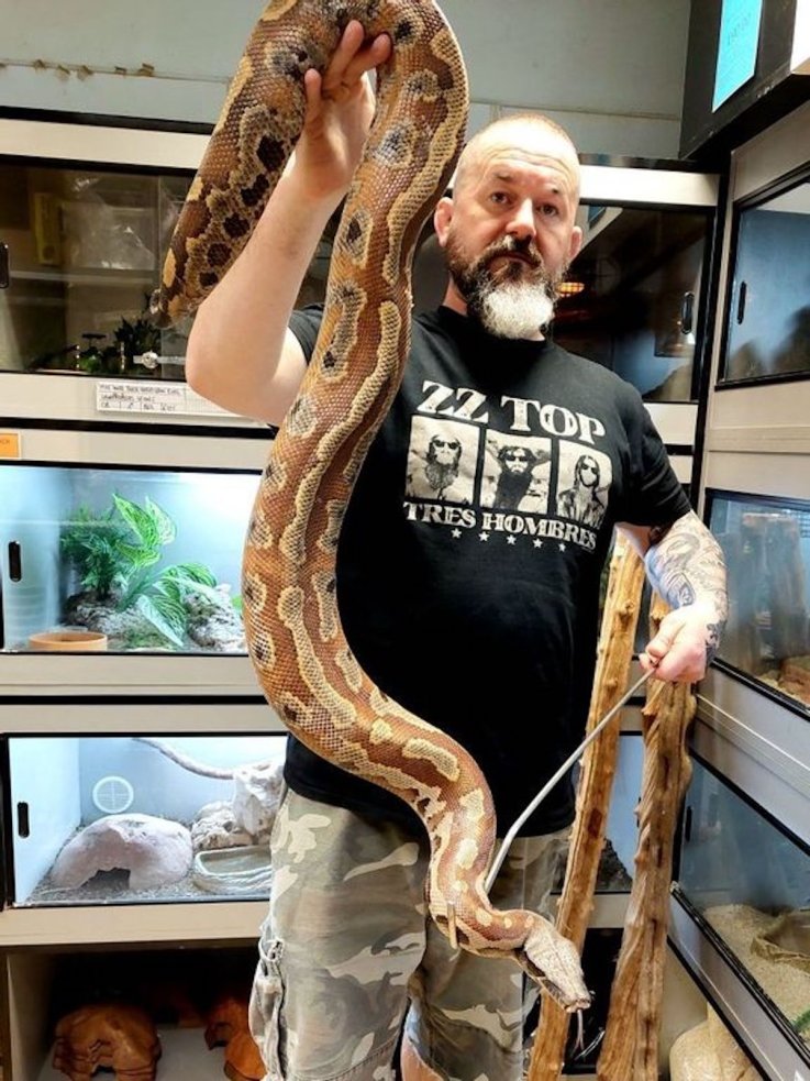 Charles Thompson Snakes 'n Adders