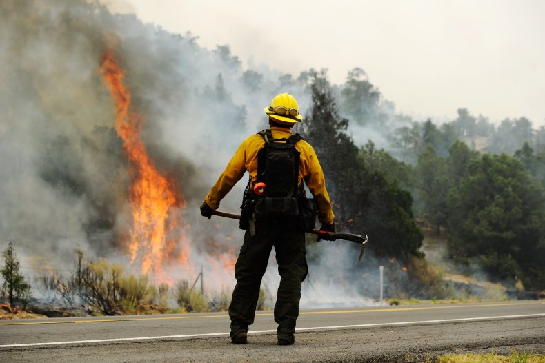 Wildfires