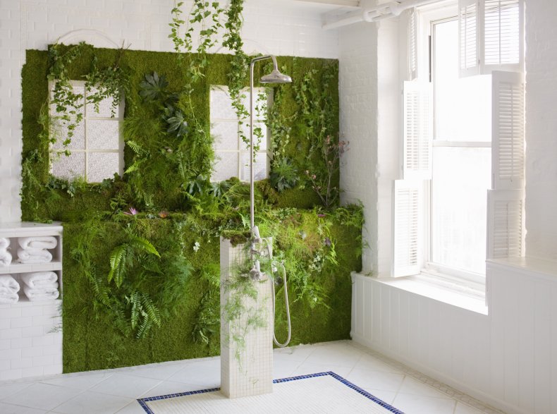 Plant-covered shower wall 