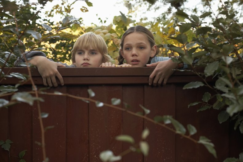 Two children on fence