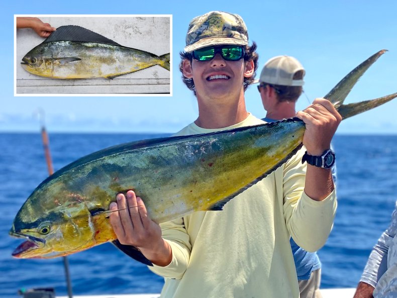 State Record Pompano Dolphinfish