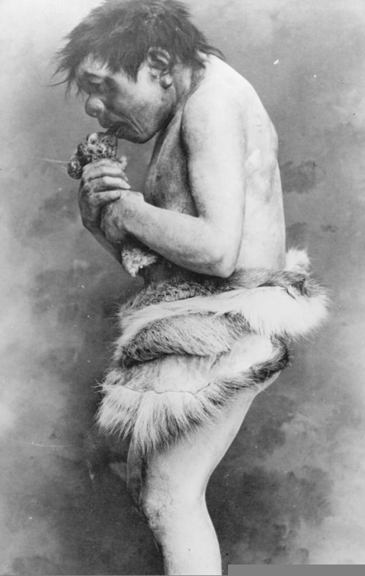 Reconstruction of a prehistoric caveman