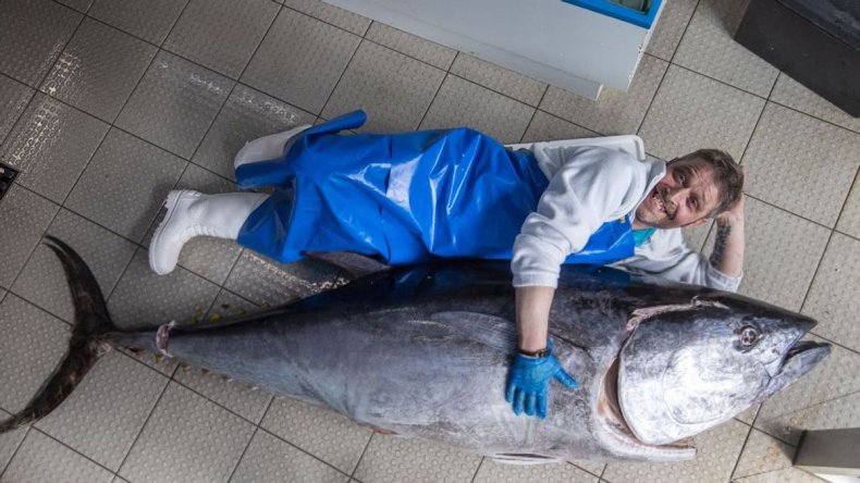 Campbell Mickel with rare bluefish tuna
