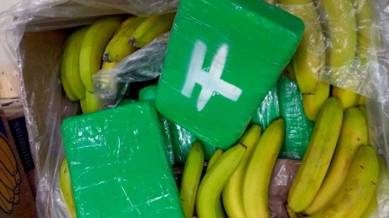 Cocaine found among bananas