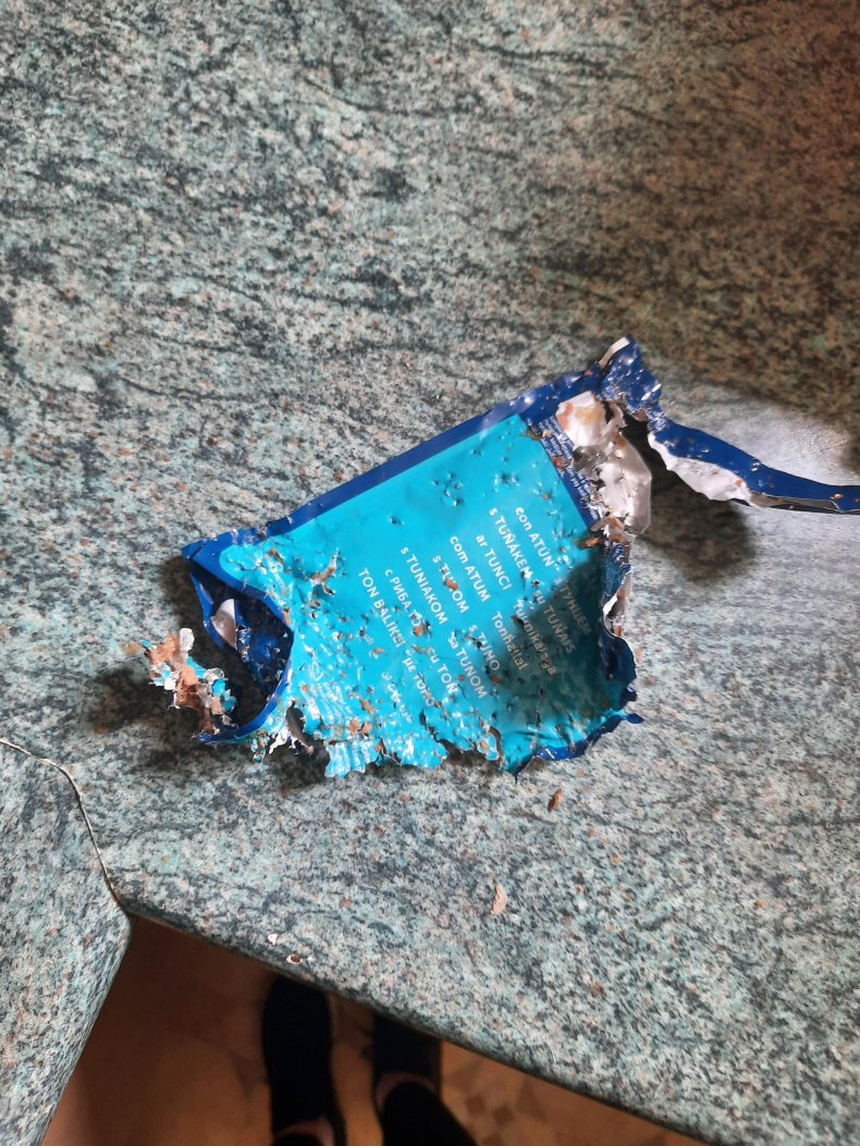 toothless cat dog food packets reddit viral 