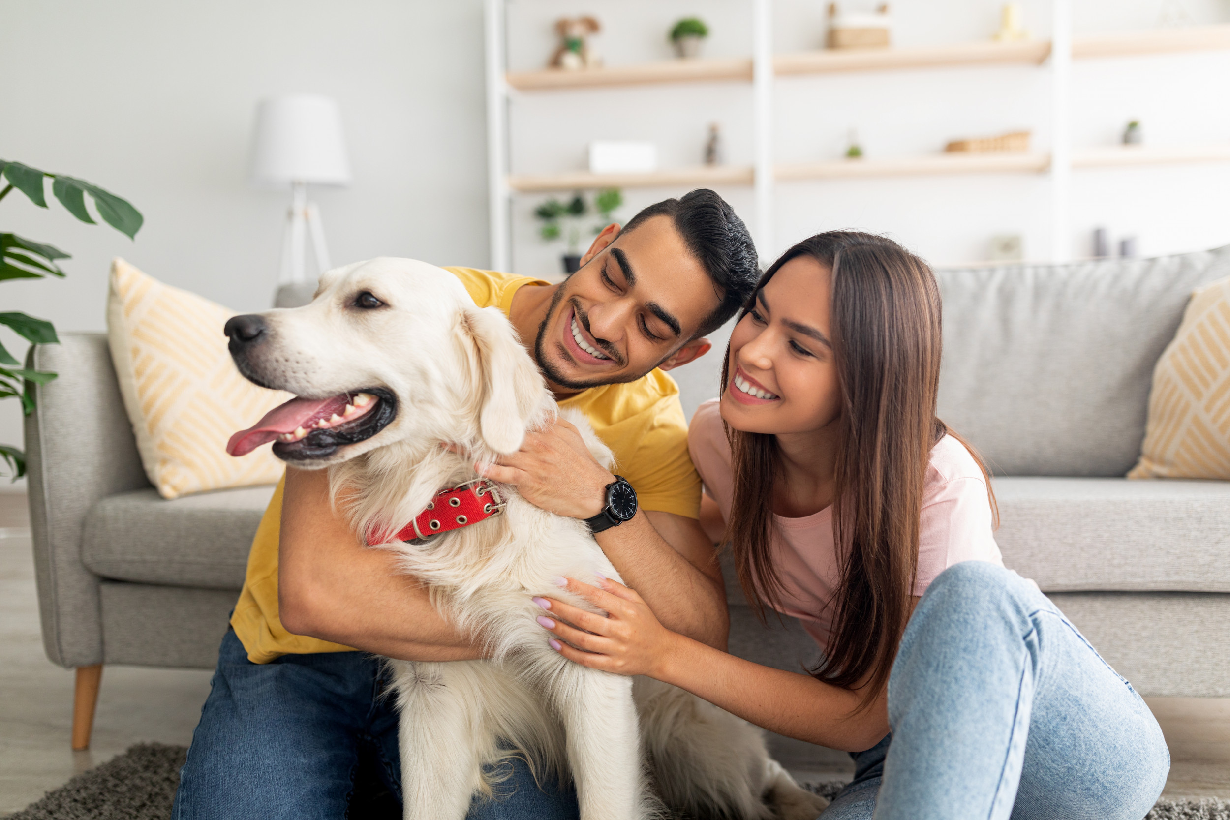 Watch Golden Retriever Get Involved With Owners' Cuddle - Newsweek