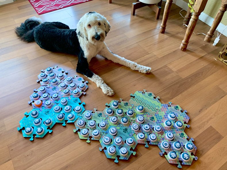 Dog Puzzle
