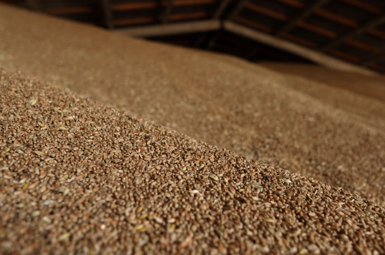 Ukrainian Grain