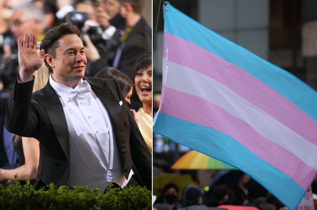 Elon Musk and a trans rights flag