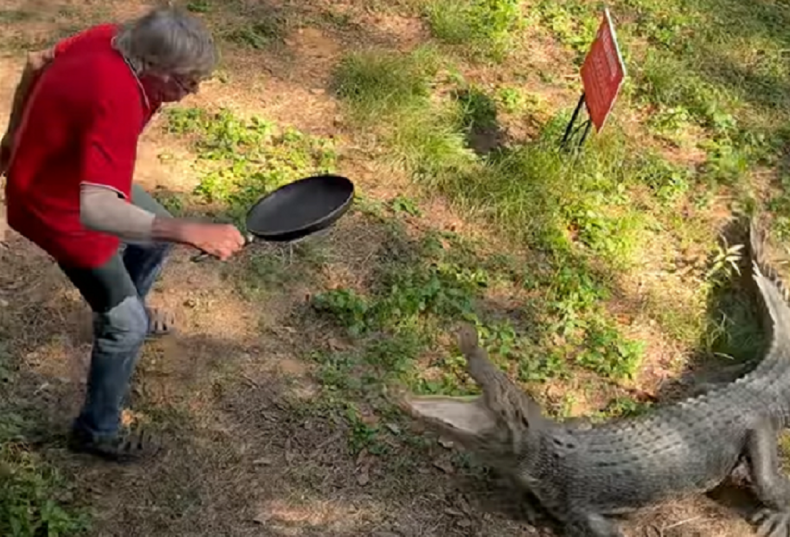 Kai Hansen hitting crocodile with pan