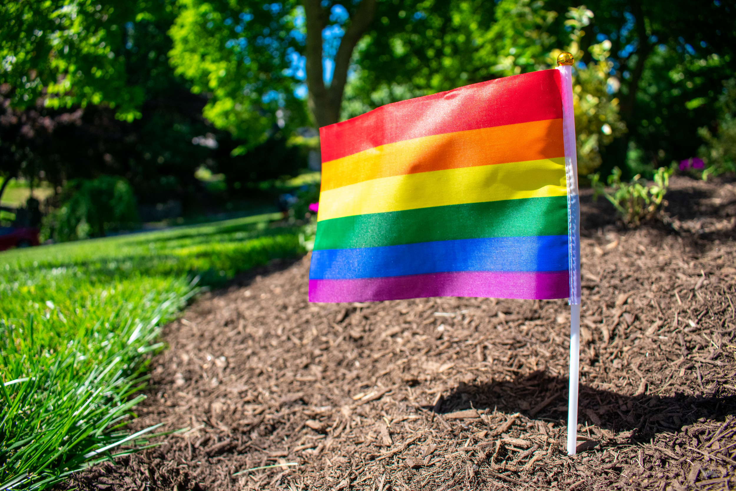 Man Covers Yard in 800 Pride Flags After Display Destroyed
