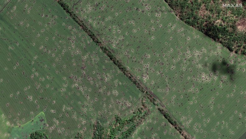 Maxar field