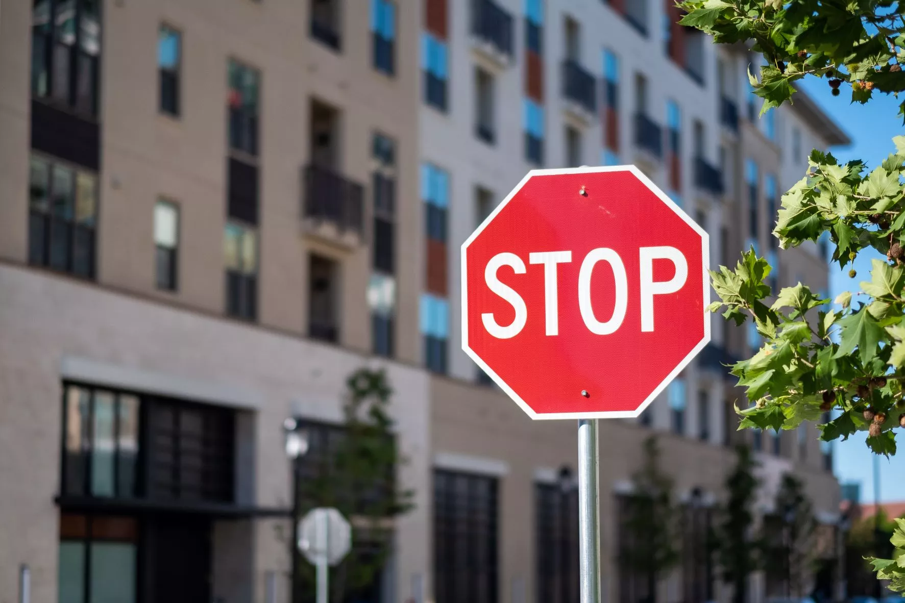 Survey Shows 3 in 5 Americans Say Pandemic Made Driving Feel Less Safe - Vimarsana News