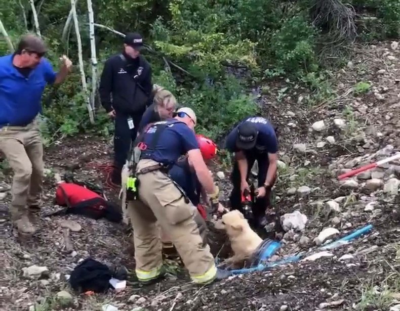 Rescuing Goldie the dog from Colorado culvert