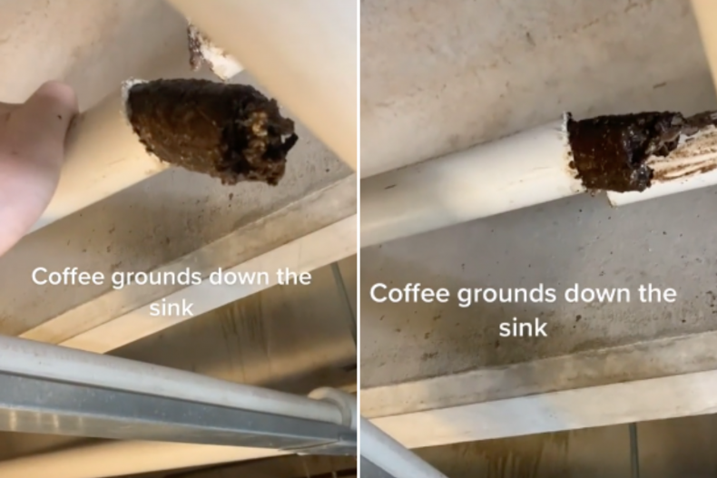 Plumber shows coffee grounds blocking pipes