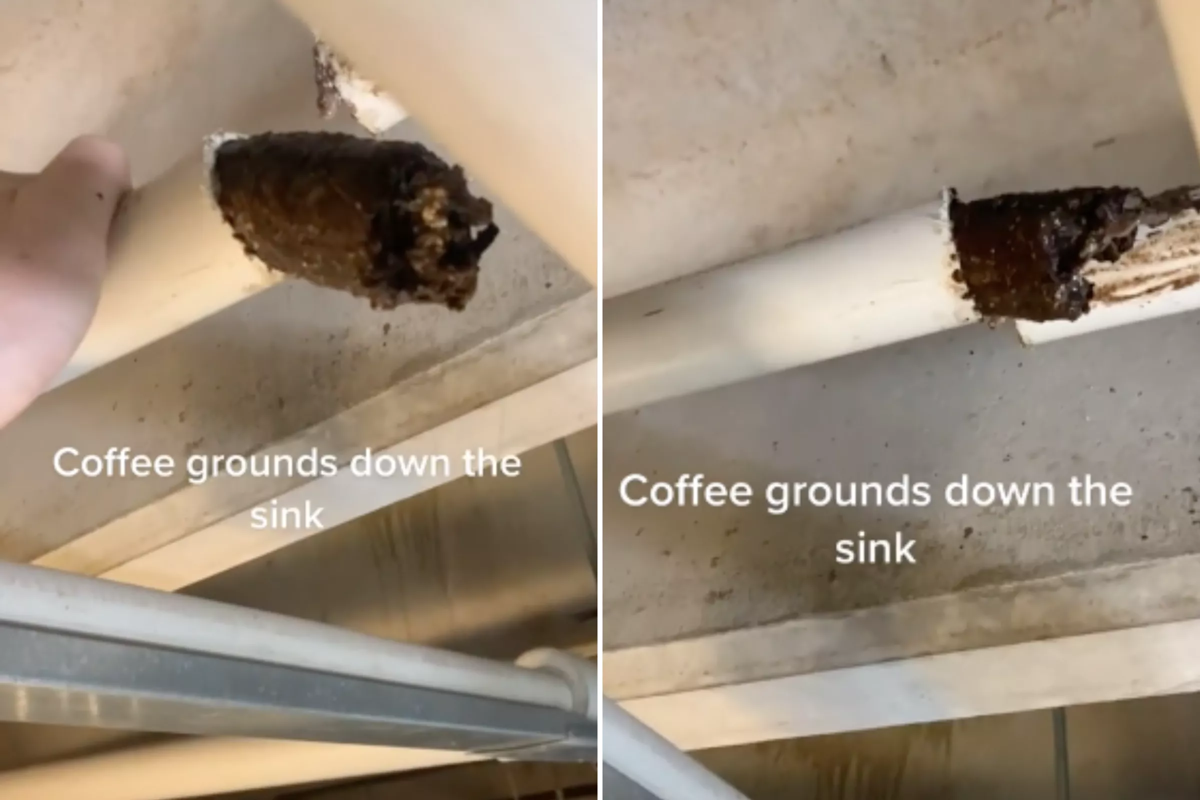 Plumber's Horror Clip Shows why Coffee Grounds Shouldn't Be Put in the Sink - Vimarsana News