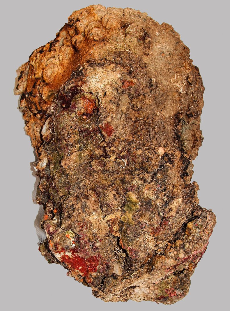 head